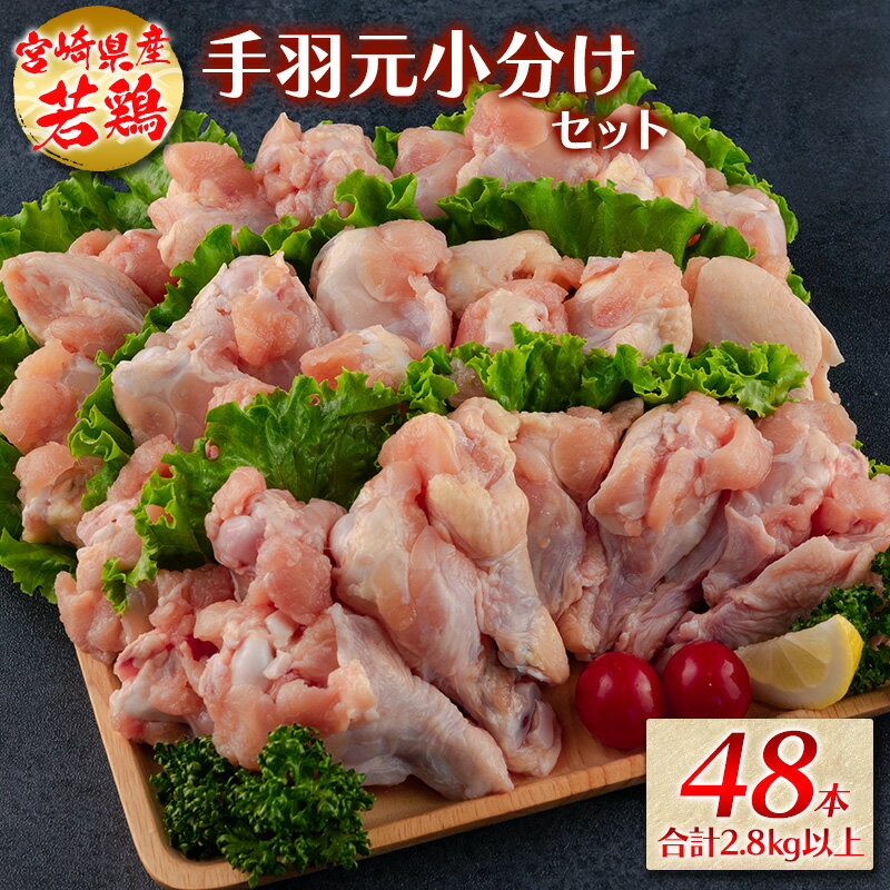 若鶏[手羽元小分けセット]48本 合計2.8kg以上 国産