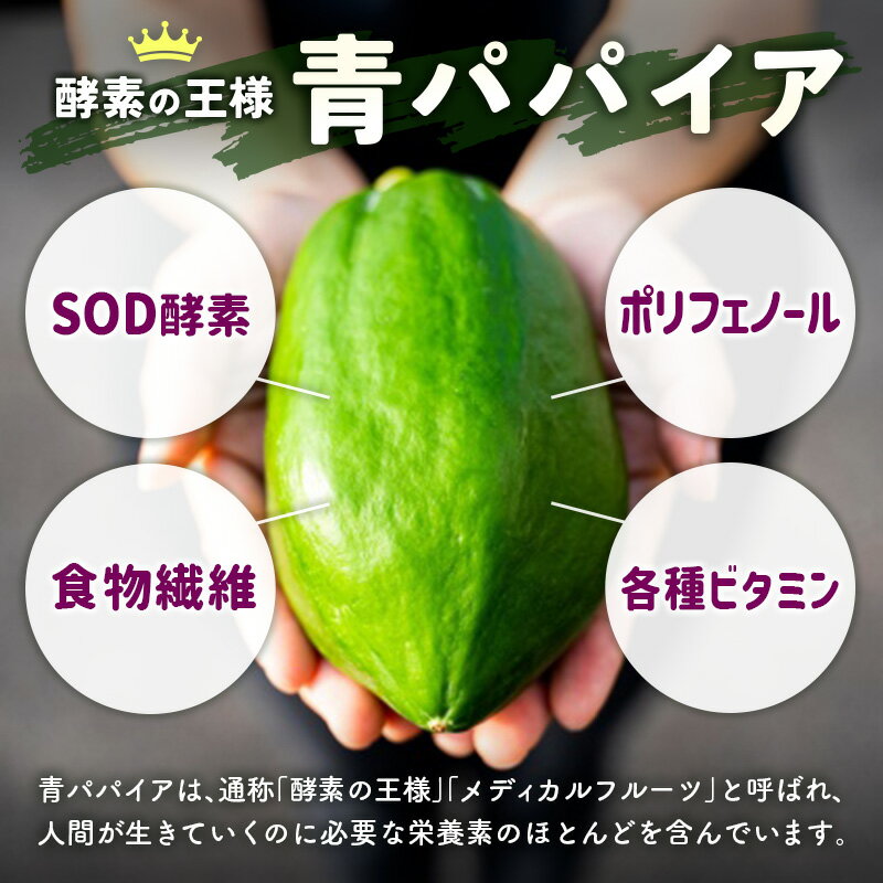 【ふるさと納税】青パパイアグラノーラ（100g×3袋）自家製酵素シロップ使用 2