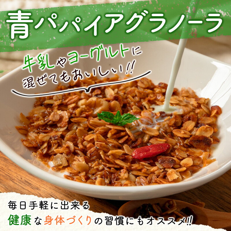 【ふるさと納税】青パパイアグラノーラ（100g×3袋）自家製酵素シロップ使用 3