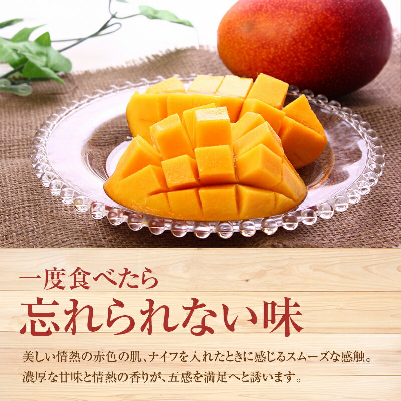 【ふるさと納税】＜先行予約＞ 完熟マンゴー 2Lサイズ 2玉 南国宮崎からお届け!! フルーツ 果物 人気 贈答品