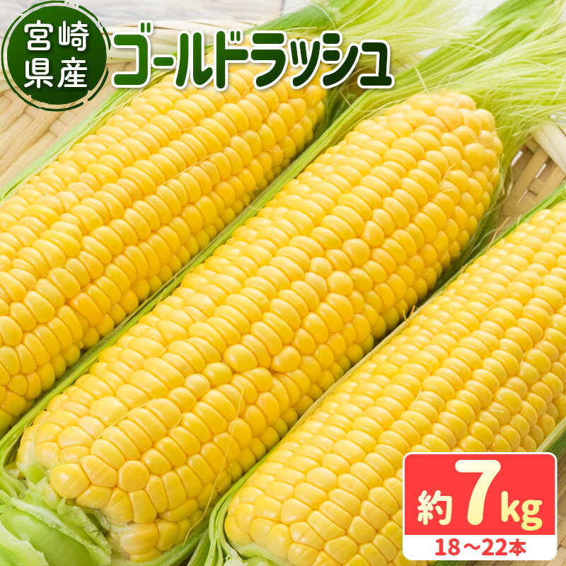 【ふるさと納税】宮崎県産 ゴールドラッシュ 約7kg（18～22本入り）［先行予約］のサムネイル