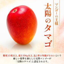 【ふるさと納税】宮崎県産 完熟マンゴー『太陽のタマゴ』2Lサイズ1玉 画像1