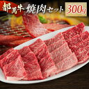 【ふるさと納税】赤身主体の黒毛和牛＜都萬牛＞焼肉セット 300g