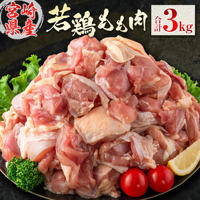 【ふるさと納税】若鶏もも肉（300g×10パック）合計3kg