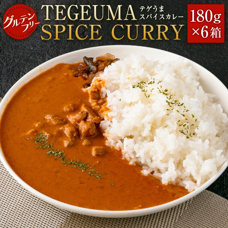 14位! 口コミ数「0件」評価「0」グルテンフリー 無水チキンカレー TEGEUMA SPICE CURRY（テゲうまスパイスカレー）180g×6箱