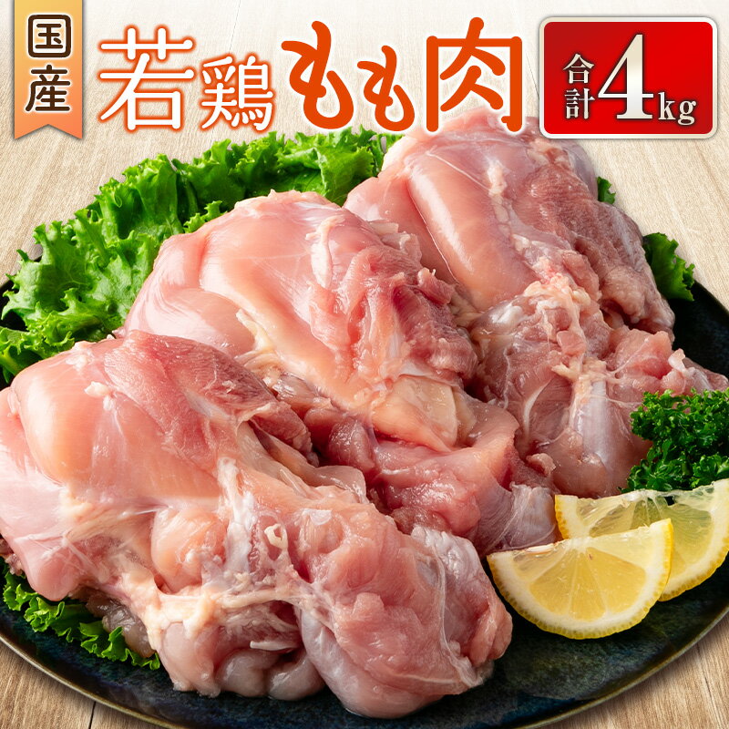 国産若鶏もも肉 合計4kg 鶏肉 九州産