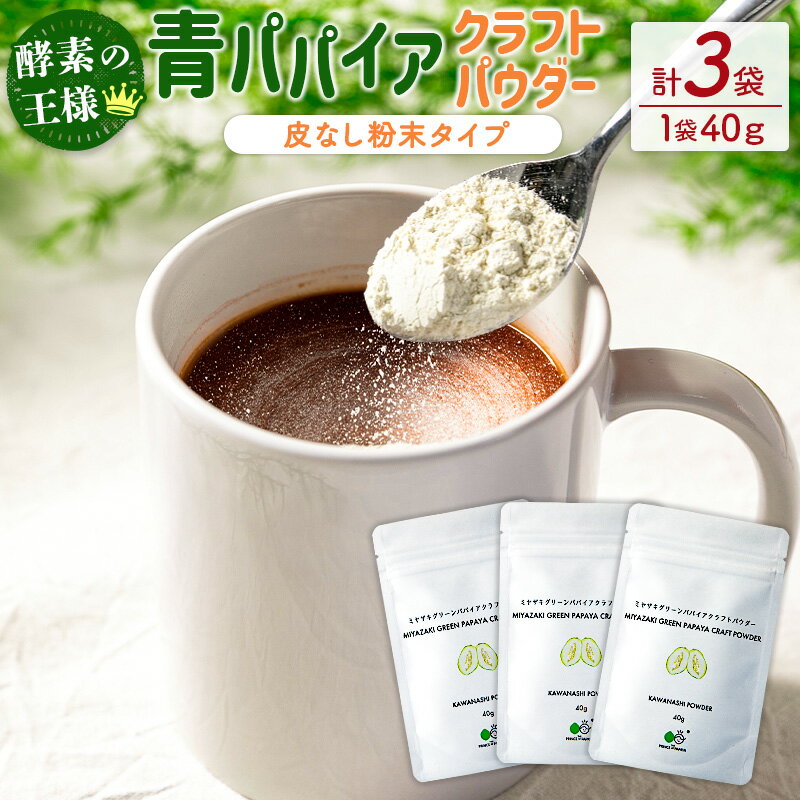 7位! 口コミ数「0件」評価「0」酵素の王様！青パパイアクラフトパウダー（40g×3袋）［皮なし粉末タイプ］