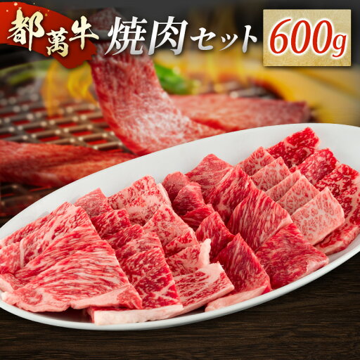 【ふるさと納税】赤身主体の黒毛和牛<都萬牛>焼肉セット 600g 【ふるさと納税】赤身主体の黒毛和牛<都萬牛>焼肉セット 600g