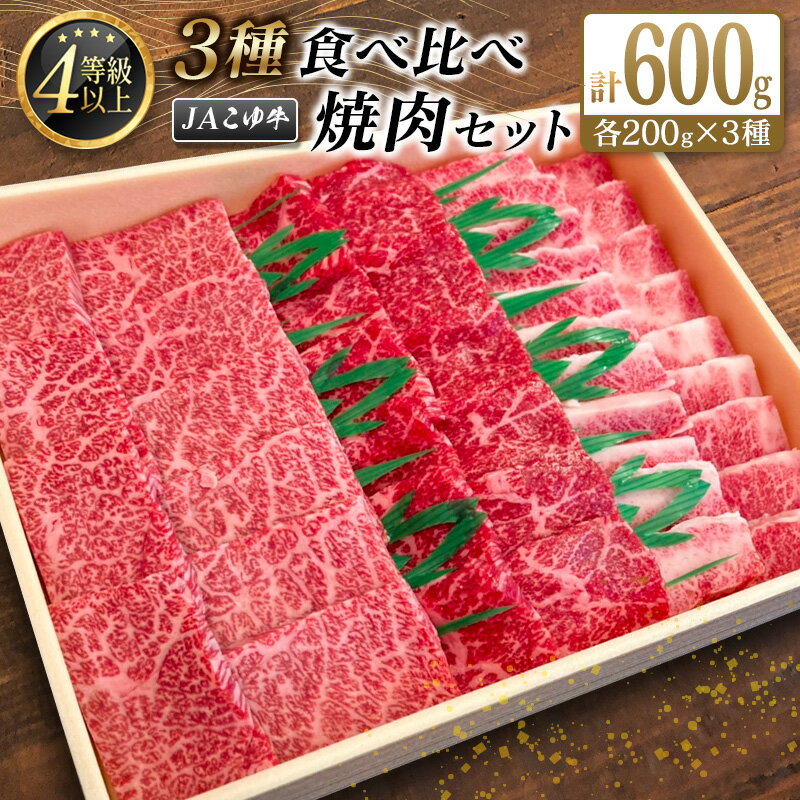 宮崎黒毛和牛＜JAこゆ牛＞3種食べ比べ 焼肉セット 計600g（カルビ・モモ・バラ）各200g A4等級以上 ブランド牛 牛肉 グランピング BBQ 国産 送料無料