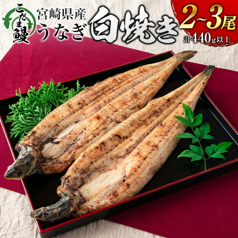 「こだま鰻」宮崎県産 うなぎ白焼き(2〜3尾)計440g以上 国産 真空パック