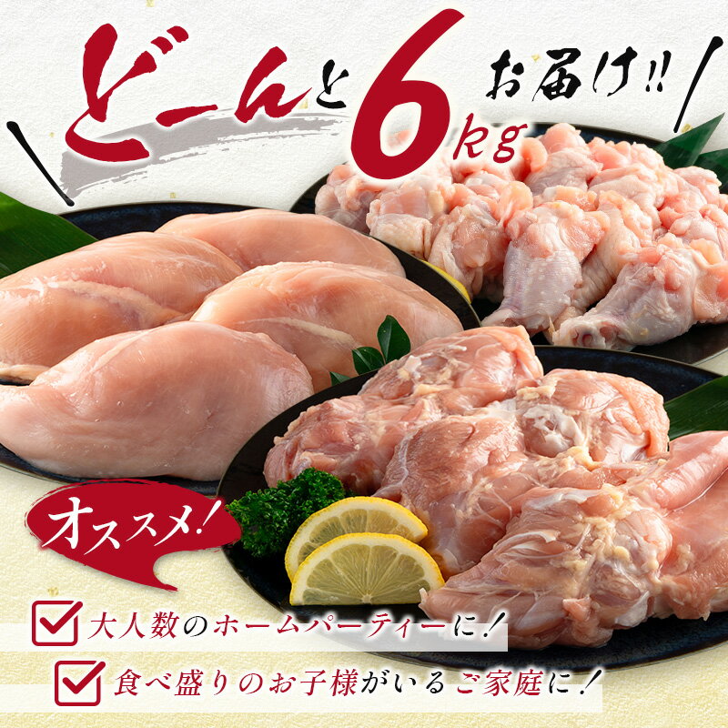 【ふるさと納税】[訳あり]宮崎県産 若鶏もも肉・むね肉・手羽元 6kgセット