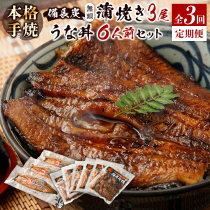 ＜4ヵ月に1回お届け＞新仔!味鰻の本格手焼備長炭蒲焼3尾（無頭）・うな丼6人前セット×3回定期便【宮崎県新富町産うなぎ】 送料無料