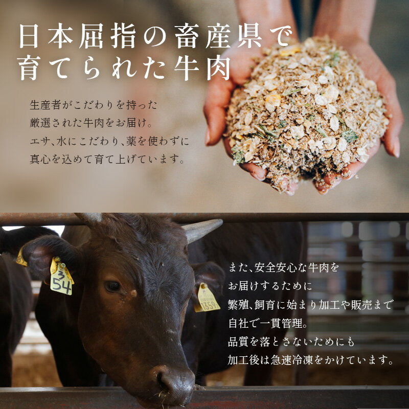 【ふるさと納税】宮崎県産黒毛和牛 8か月定期便 2024年1月定期配送開始