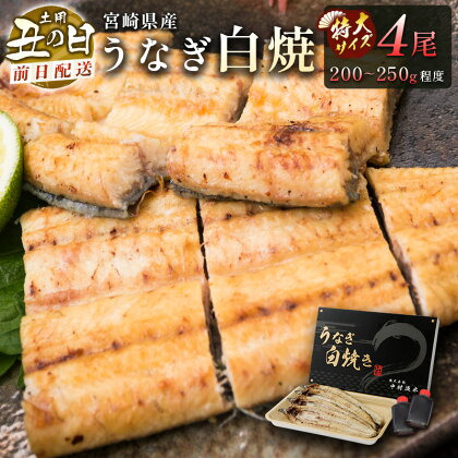 前日配送予約［土用丑の日］うなぎ白焼きギフト 4尾（200～250g/1尾あたり）宮崎県産鰻 蒲焼きタレ付（50ml×2本）