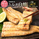 白焼き 【ふるさと納税】［母の日］うなぎ白焼きギフト 2尾（150～200g/1尾あたり）宮崎県産鰻 蒲焼きタレ付（50ml×1本）