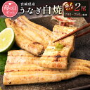 白焼き 【ふるさと納税】［母の日］うなぎ白焼きギフト 2尾（200～250g/1尾あたり）宮崎県産鰻 蒲焼きタレ付（50ml×1本）