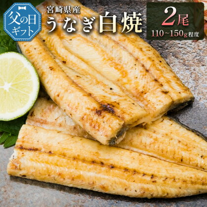 ［父の日］うなぎ白焼きギフト 2尾（110～150g/1尾あたり）宮崎県産鰻 蒲焼きタレ付（50ml×1本）