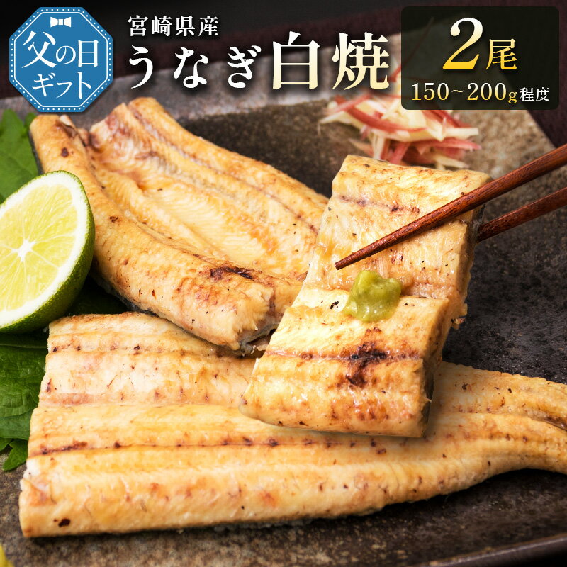 【ふるさと納税】［父の日］うなぎ白焼きギフト 2尾（150～