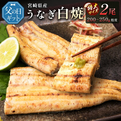 ［父の日］うなぎ白焼きギフト 2尾（200～250g/1尾あたり）宮崎県産鰻 蒲焼きタレ付（50ml×1本）