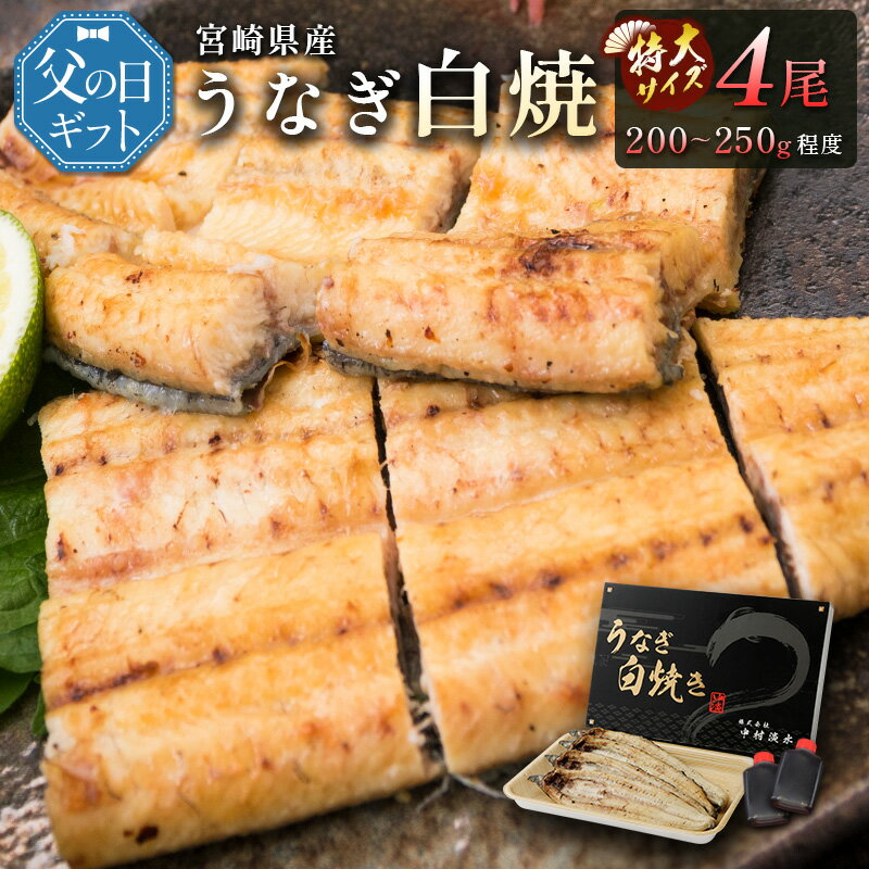 白焼き 【ふるさと納税】［父の日］うなぎ白焼きギフト 4尾（200～250g/1尾あたり）宮崎県産鰻 蒲焼きタレ付（50ml×2本）