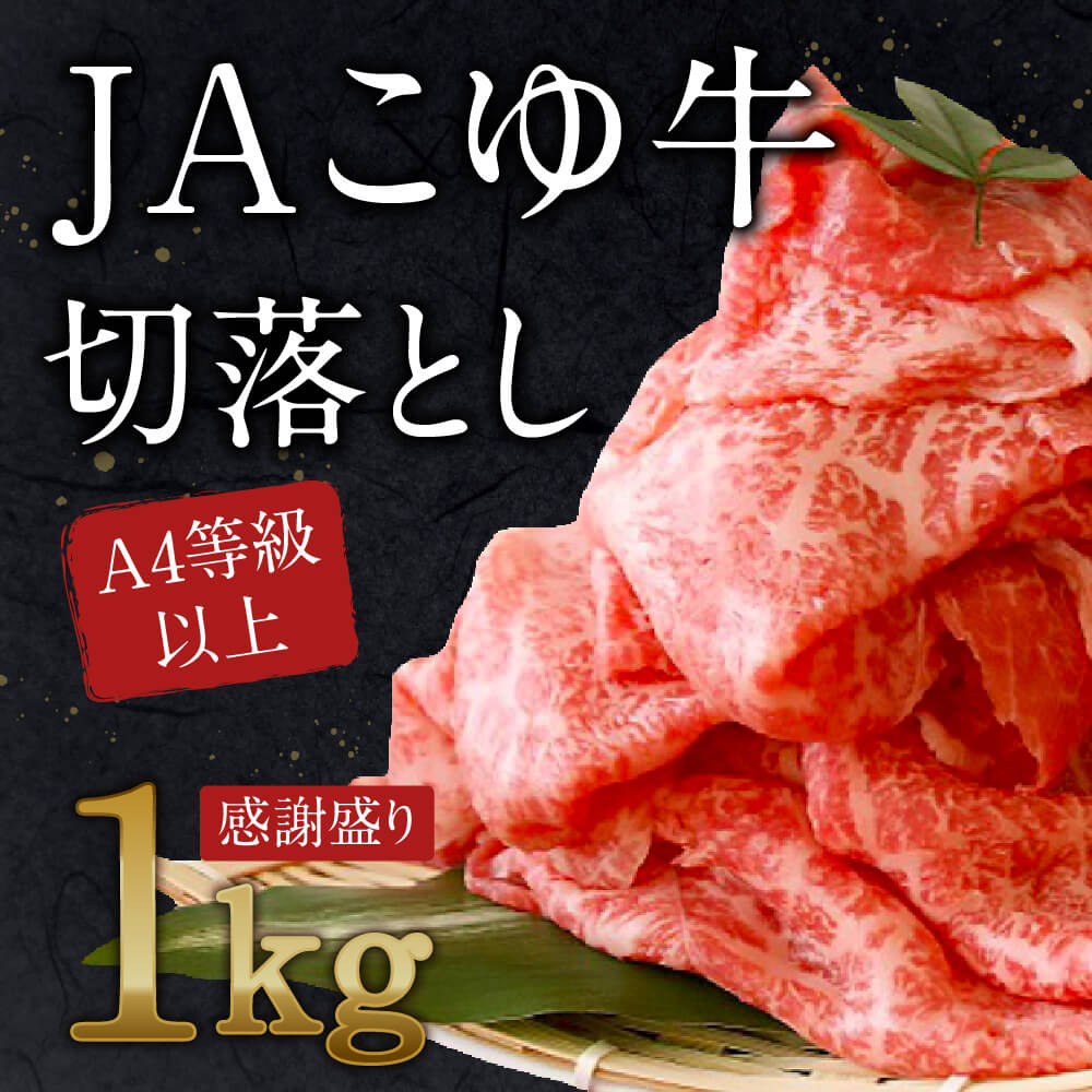 【ふるさと納税】宮崎黒毛和牛＜JAこゆ牛＞切り落とし 計1kg A4等級以上 ブランド牛 宮崎県産 冷凍 和牛 牛肉 国産 送料無料