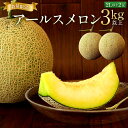 【ふるさと納税】 宮崎県産アールスメロン<2Lサイズ 2玉入...