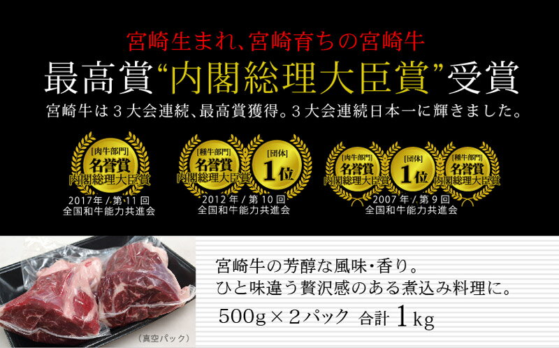 【ふるさと納税】宮崎牛 牛スネ 煮込み用 合計1kg（500g×2パック）牛すね肉 国産 小分け 冷凍 送料無料