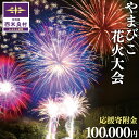 【ふるさと納税】第49回やまびこ花火大会応援寄付金 西米良村応援寄付金 100,000円 花火大会 夏 夏祭り 祭り イベント 花火 打ち上げ花火 ふるさと 応援 九州 宮崎県 西米良村