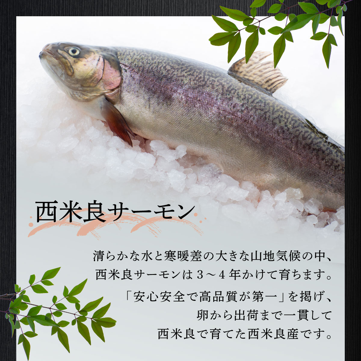 宮崎県西米良村の画像2