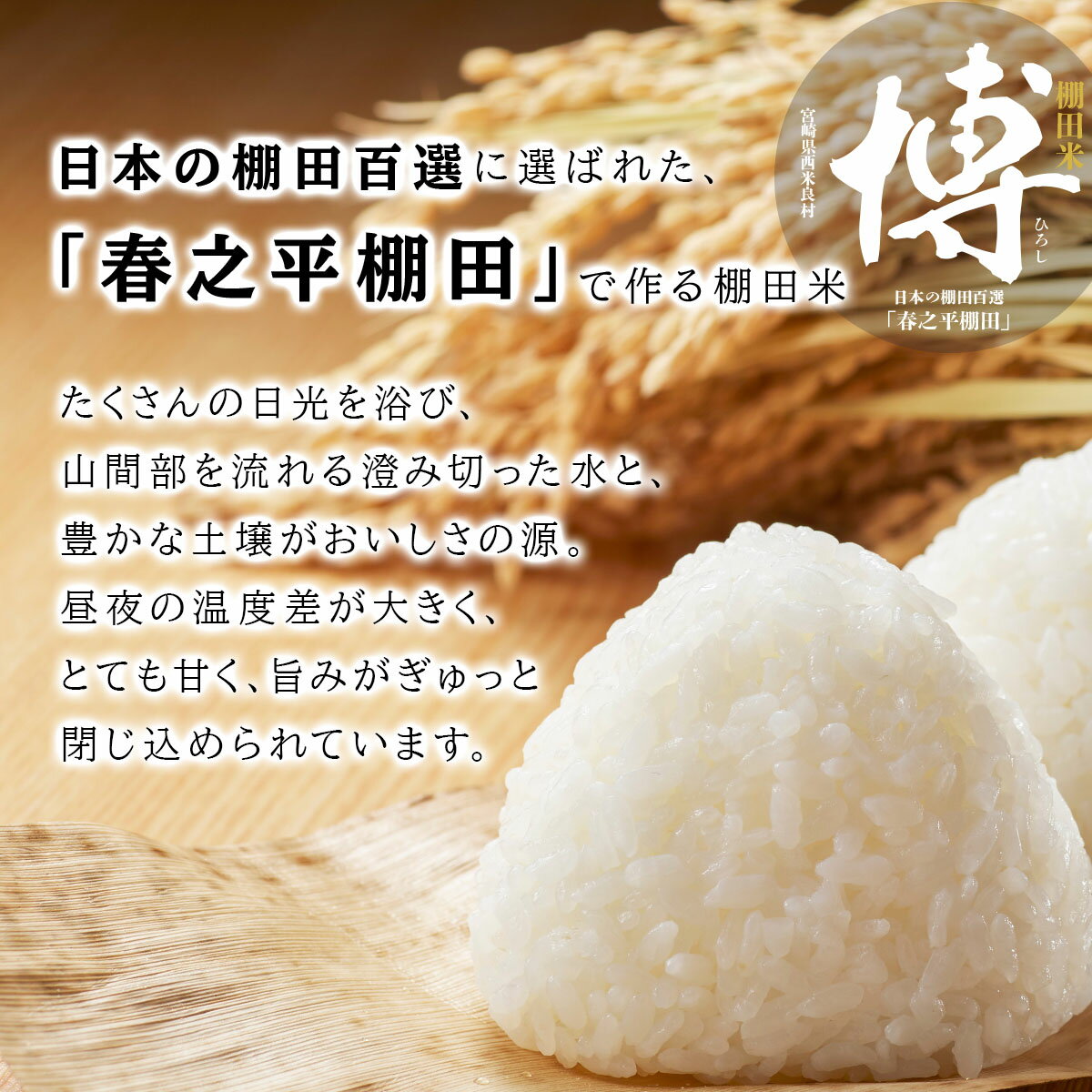 宮崎県西米良村の画像3