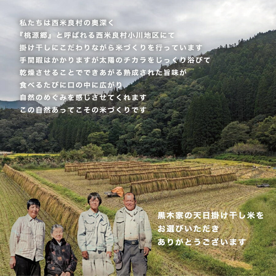 宮崎県西米良村の画像2