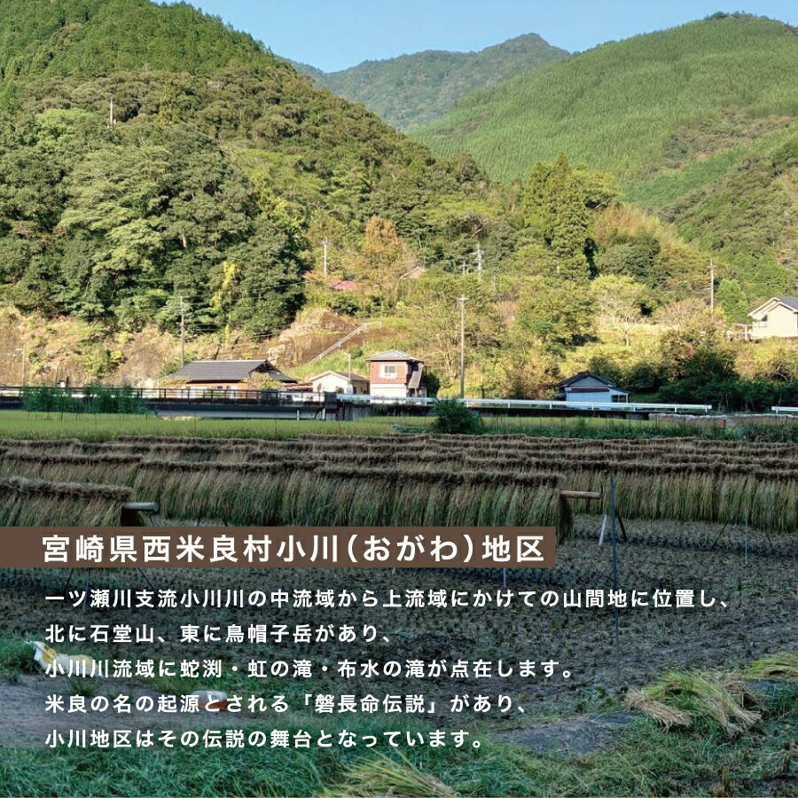 宮崎県西米良村の画像3