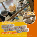 宮崎県西米良村の画像2