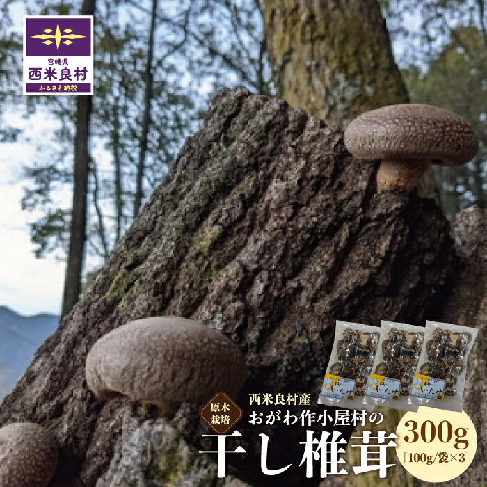 14位! 口コミ数「0件」評価「0」おがわ作小屋村の干し椎茸 100g×3袋　宮崎県 西米良村