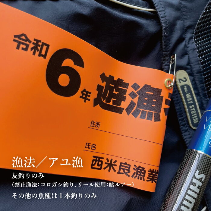 宮崎県西米良村の画像2