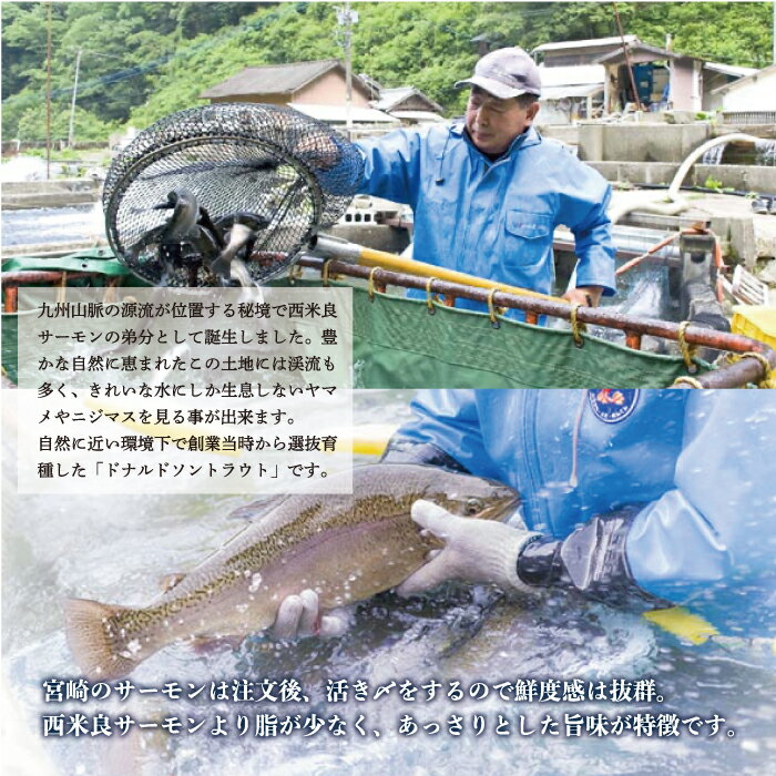 宮崎県西米良村の画像3