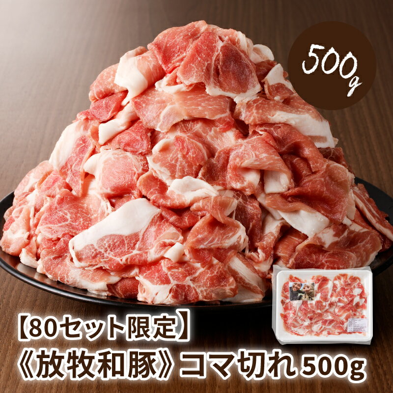 【ふるさと納税】≪放牧和豚≫ こま切れ 500g - Pioneer Pork(パイオニアポーク) 旨味が凝縮 豚汁や豚丼に使いやすい小間切れ 国産豚肉 こだわり 送料無料 【宮崎県木城町】