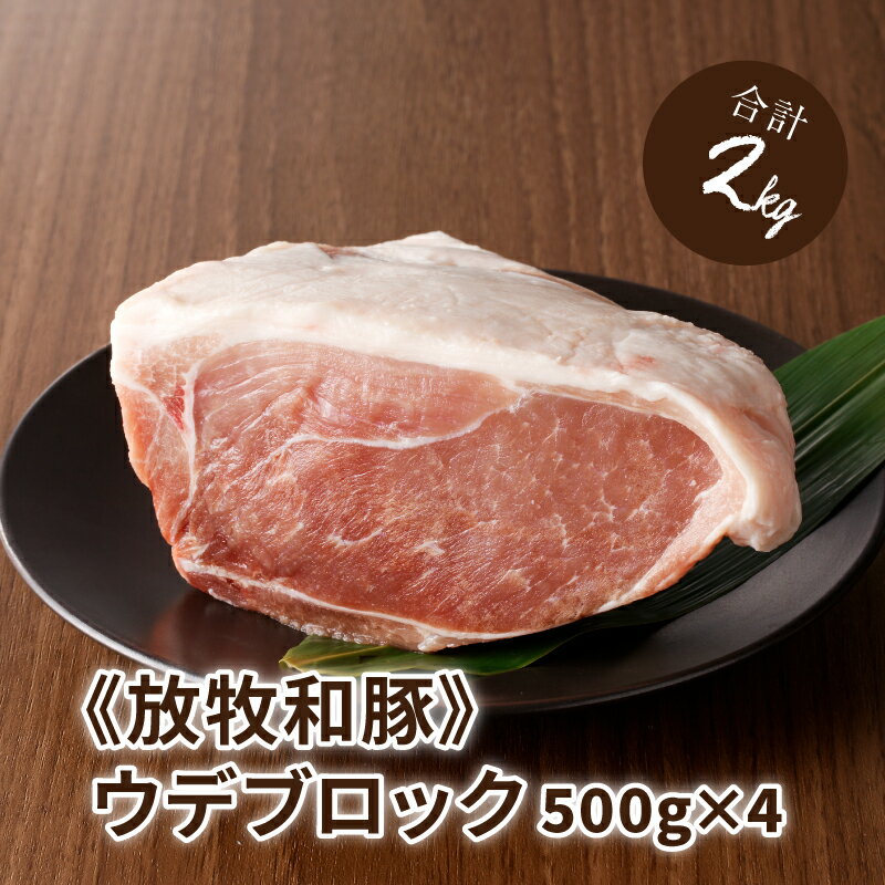 【ふるさと納税】≪放牧和豚≫ウデブロック500g×4 【合計2kg】 - 豚肉 ウデ ブロック かたまり肉 小分け 豚ブロック 豚肉ブロック うで 豚ウデブロック ウデ肉 冷凍 国産豚肉 パイオニアポーク ブロック肉 こだわり 送料無料 【宮崎県木城町】のサムネイル