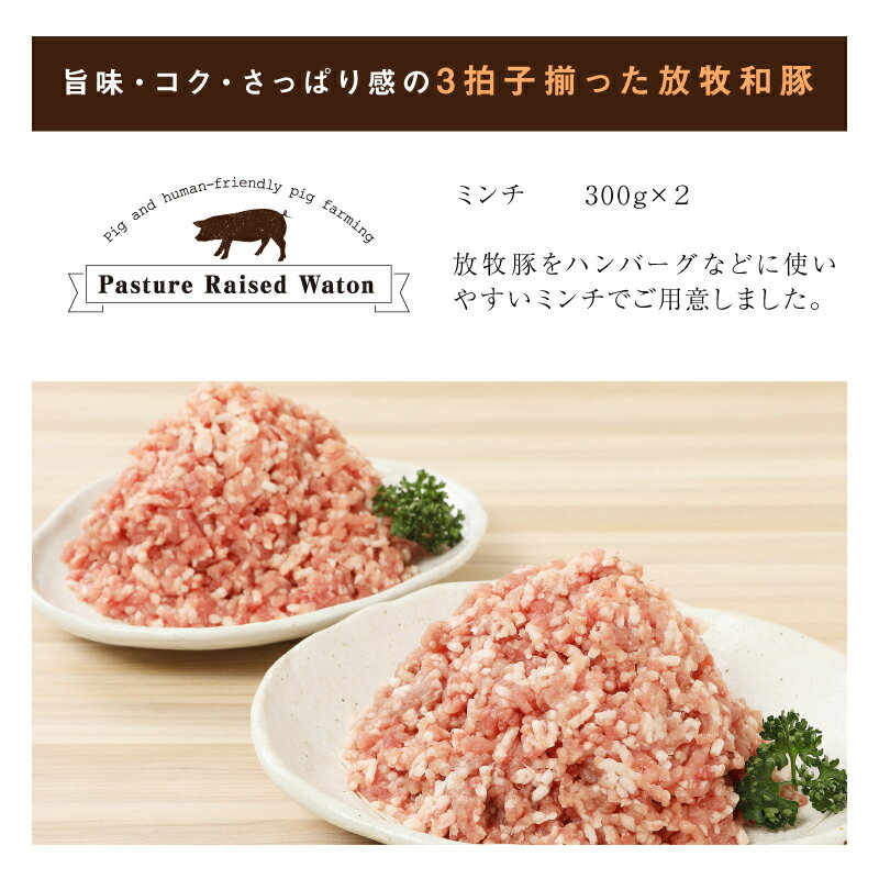 【ふるさと納税】≪放牧和豚≫ ミンチ300g×2セット【合計600g】 - 国産 豚肉 豚 挽き肉 挽肉 ひき肉 ミンチ 豚ミンチ 冷凍 小分け ハンバーグや麻婆豆腐に 旨味・コク・さっぱり感の放牧和豚 Pioneer Pork(パイオニアポーク) こだわり 送料無料 【宮崎県木城町】