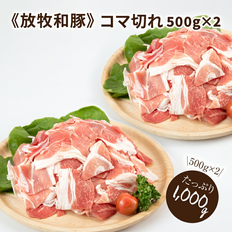 【レビューキャンペーン対象】≪放牧和豚≫ こま切れ 500g×2 【合計1kg】 - Pioneer Pork(パイオニアポーク) 家庭料理に 豚汁や豚丼に使いやすい小間切れ 送料無料【宮崎県木城町】