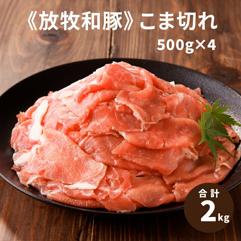 【ふるさと納税】≪放牧和豚≫こま切れ 500g×4 - 国産 豚肉 豚 真空パック 小分け ブランド豚 パイオニアポーク Pioneer Pork 豚こま 冷凍 2kg 豚こま肉 豚こま切れ こま切れ肉 旨味・コク・さっぱり感の放牧和豚 送料無料【宮崎県木城町】