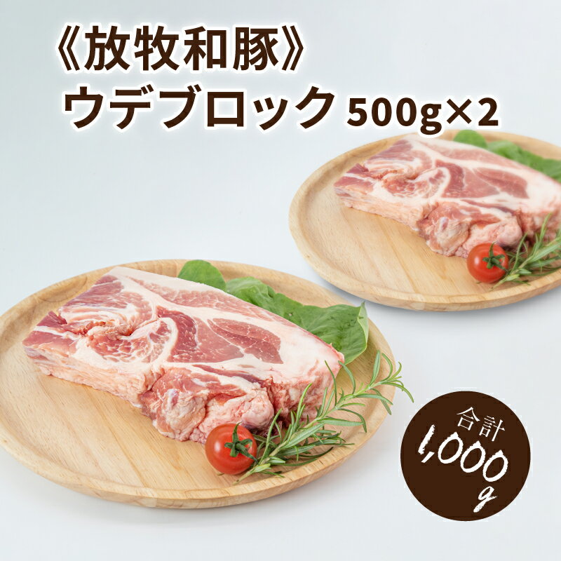 ≪放牧和豚≫ウデブロック 500g×2 [合計1kg] - 豚肉 ウデ ブロック かたまり肉 小分け 豚ブロック 豚肉ブロック うで 豚ウデブロック ウデ肉 冷凍 国産豚肉 パイオニアポーク ブロック肉 こだわり 送料無料 [宮崎県木城町]