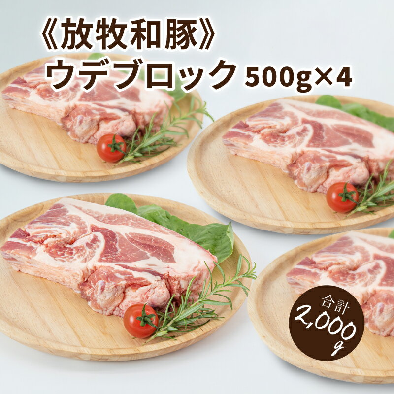 39位! 口コミ数「0件」評価「0」≪放牧和豚≫ウデブロック500g×4 【合計2kg】 - 豚肉 ウデ ブロック かたまり肉 小分け 豚ブロック 豚肉ブロック うで 豚ウデブ･･･ 