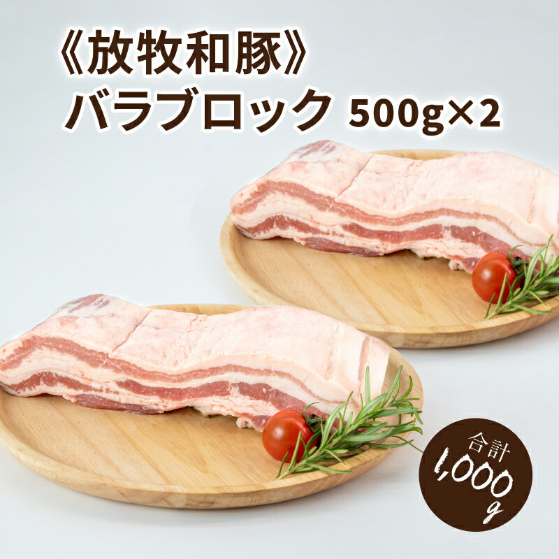 ≪放牧和豚≫バラブロック 500g×2 [合計1kg] - 国産豚肉 豚バラ 冷凍 バラ肉 ばら 三枚肉 冷凍 パイオニアポーク 豚ブロック ブロック肉 ブロック 塊肉 かたまり肉 豚肉かたまり 豚肉 豚 こだわり 送料無料 [宮崎県木城町]