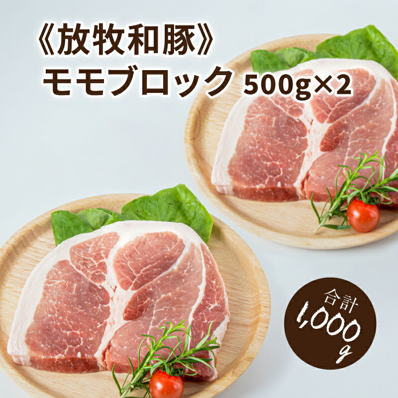 【ふるさと納税】≪放牧和豚≫モモ ブロック500g×2【合計