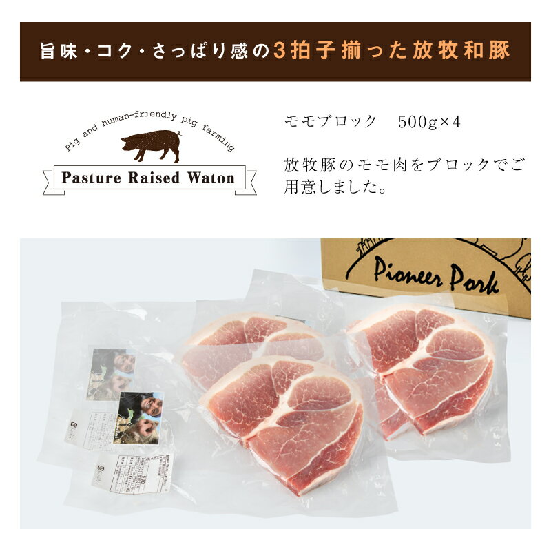 【ふるさと納税】≪放牧和豚≫モモブロック 500g×4 【合計2kg】 - 豚肉 豚 豚ブロック ブロック肉 ブロック 塊肉 かたまり肉 豚肉かたまり 真空パック 総重量 2kg 豚もも肉 豚モモ こだわり 送料無料 【宮崎県木城町】