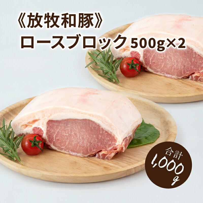 20位! 口コミ数「0件」評価「0」≪放牧和豚≫ロースブロック 500g×2 【合計1kg】 - 豚肉 豚 豚ブロック ブロック肉 ブロック 塊肉 かたまり肉 豚肉かたまり 豚･･･ 