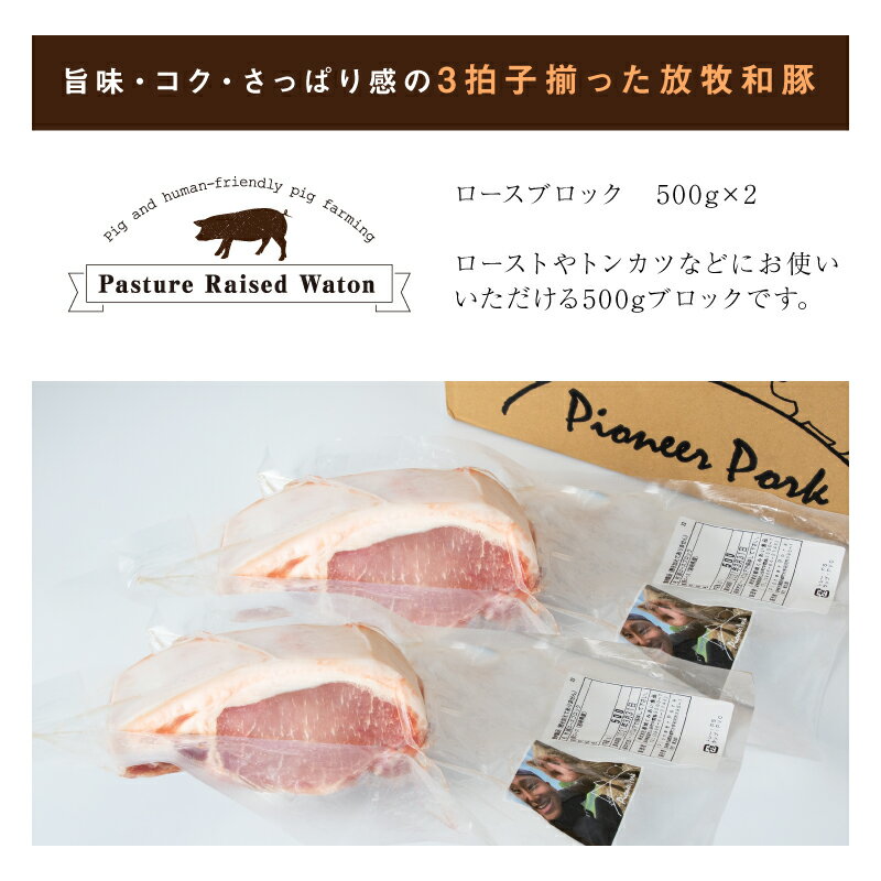 【ふるさと納税】≪放牧和豚≫ロースブロック 500g×2 【合計1kg】 - 豚肉 豚 豚ブロック ブロック肉 ブロック 塊肉 かたまり肉 豚肉かたまり 豚ロース ロース肉 Pioneer Pork(パイオニアポーク) こだわり 送料無料 【宮崎県木城町】