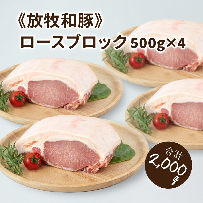 【ふるさと納税】≪放牧和豚≫ロースブロック 500g×4 【合計2kg】 - 国産 豚肉 豚 豚ブロック ブロック肉..