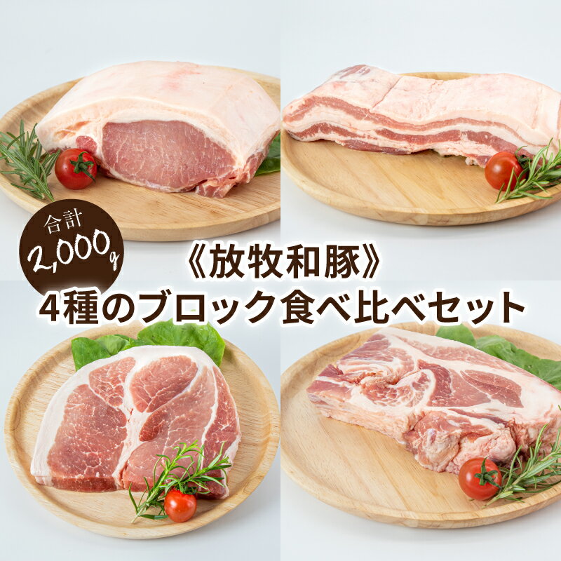 ≪放牧和豚≫4種のブロック食べ比べセット[合計2kg] - 豚肉 食べ比べ 部位 ロース肉/バラ肉/モモ肉/ウデ肉 かたまり ブロック肉 かたまり肉 冷凍 小分け 真空 個包装 Pioneer Pork (パイオニアポーク) 詰め合わせ こだわり 送料無料 [宮崎県木城町]